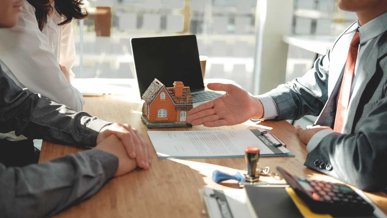 business and tax advice